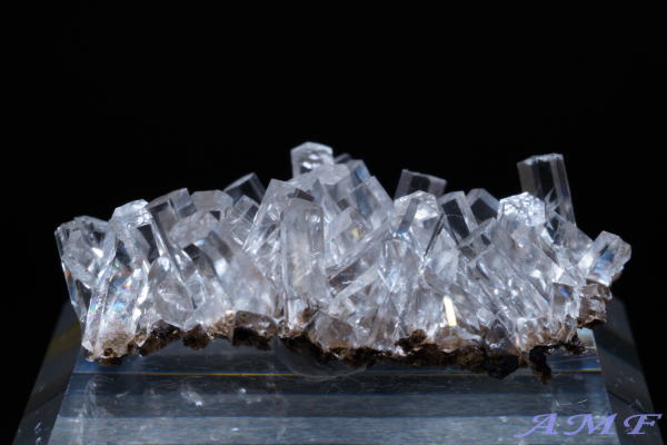 ���������ȎY�J���T�C�g���Y��ȕW�{25