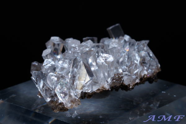 ���������ȎY�J���T�C�g���Y��ȕW�{26