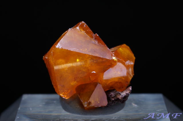 �R���S���a���Y�E���t�F�i�C�g���Y��ȕW�{11"