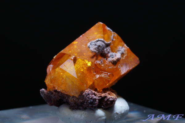 �R���S���a���Y�E���t�F�i�C�g���Y��ȕW�{16