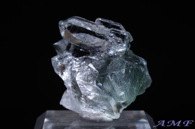 �C�^���A�Y�A�N�`�m���C�gin�N�H�[�c���Y��ȕW�{51"