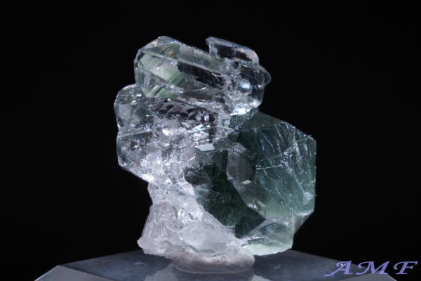 �C�^���A�Y�A�N�`�m���C�gin�N�H�[�c���Y��ȕW�{52