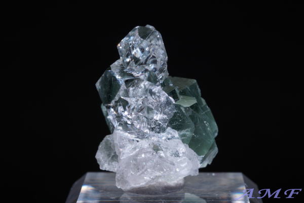 �C�^���A�Y�A�N�`�m���C�gin�N�H�[�c���Y��ȕW�{53