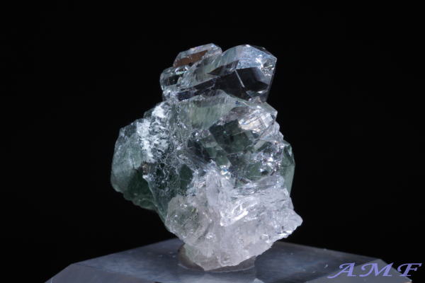 �C�^���A�Y�A�N�`�m���C�gin�N�H�[�c���Y��ȕW�{54