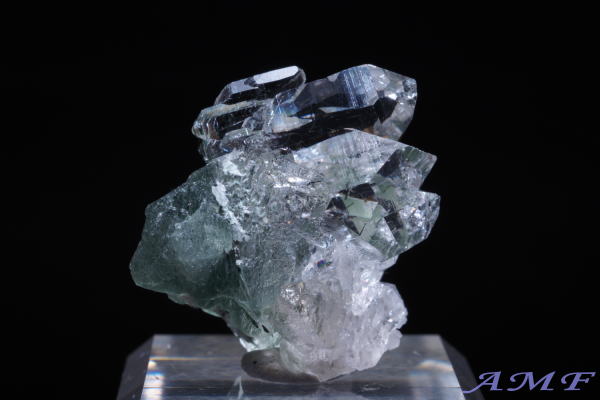 �C�^���A�Y�A�N�`�m���C�gin�N�H�[�c���Y��ȕW�{55