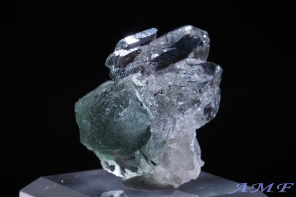 �C�^���A�Y�A�N�`�m���C�gin�N�H�[�c���Y��ȕW�{56 class=