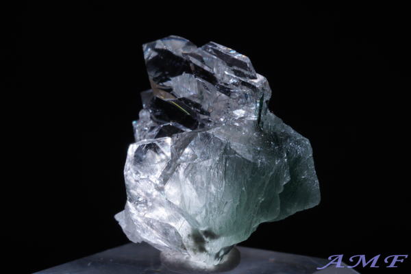 �C�^���A�Y�A�N�`�m���C�gin�N�H�[�c���Y��ȕW�{58