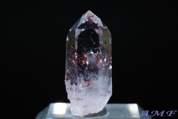 �Y��ȃu�����h�o�[�O�Y���s�h�N���T�C�gin�N�H�[�c175