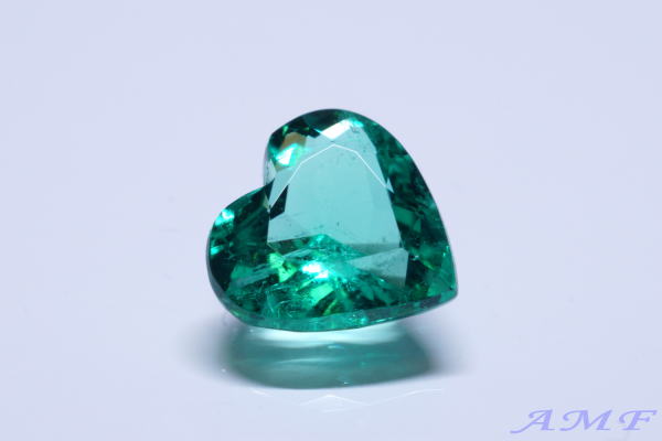 �R�����r�A�Y�n�[�g�V�F�C�v�G�������h�O.�X�U����14