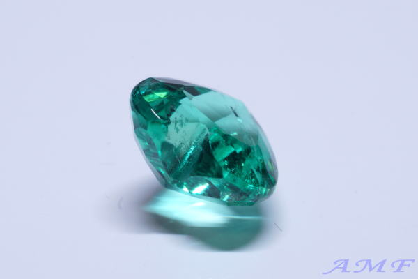 �R�����r�A�Y�n�[�g�V�F�C�v�G�������h�O.�X�U����15