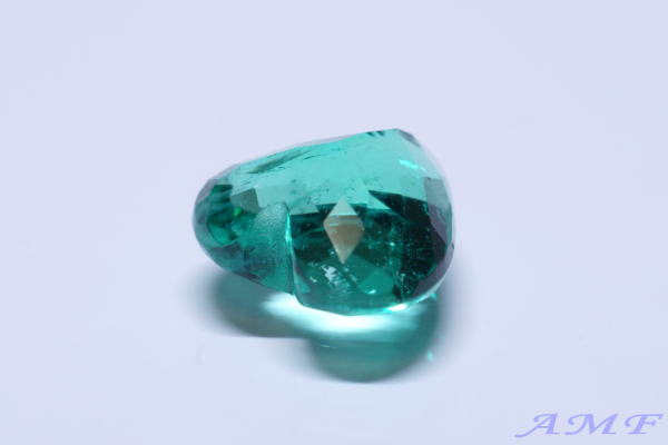 �R�����r�A�Y�n�[�g�V�F�C�v�G�������h�O.�X�U����113