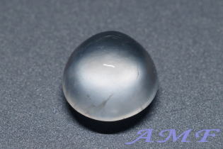 �~�����}�[�Y�X�Ő��A�C�X�W�F�_�C�g�̔��������[�X�Q.�T�Wct116